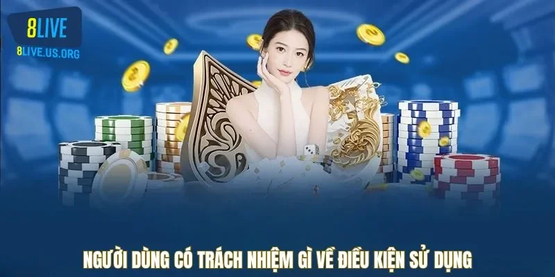 Người dùng có trách nhiệm gì về điều kiện sử dụng